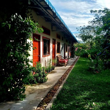 Baloo Guesthouse كوه رونغ ساملوم المظهر الخارجي الصورة